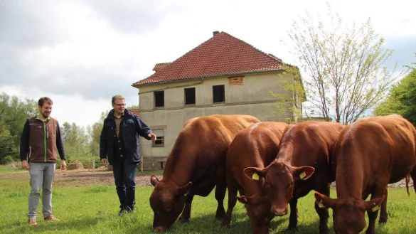 Christian H&ouml;ppner (links) und Heinz-J&uuml;rgen Requardt stehen vor dem Artenschutzhaus, in dem die R&auml;ume mit Steinen, Stroh oder Balken ausstaffiert sind. Die vier Angus-Rinder bet&auml;tigen sich derweil als tierische Landschaftsg&auml;rtner. - &copy; Katrin Kantelberg(LZ)