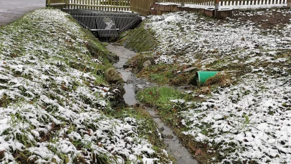 Stinkt den Dorfbewohnern zum Himmel: in den quer durch Sonneborn flie&szlig;enden Grie&szlig;ebach wird Abwasser eingeleitet. Die Verwaltung will ab n&auml;chster Woche in Zusammenarbeit mit Anwohnern Farbe einleiten um den vermuteten Fehlanschluss zu lokalisieren. - &copy; Sylvia Frevert