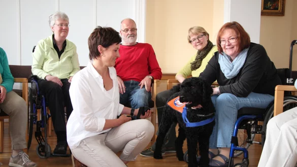 Bei der Arbeit: Therapiehund "Henry" besucht mit Nicole Vogelsang den MS-Kontaktkreis. Beate Althöfer, Ingo Eikermann, Sabine Balder und Ulrike Eikermann (von links) freuen sich über den kuscheligen Gast. - © Foto: Grote