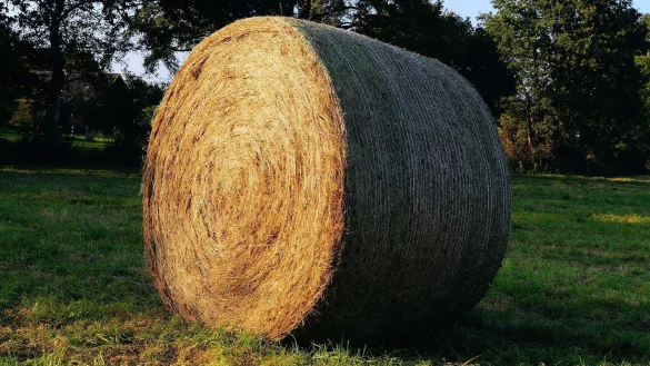 Symbolbild. - &copy; Pixabay