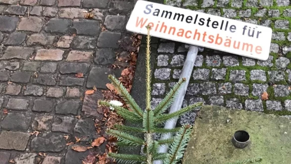 Sammelstellen gibt es in vielen Kommunen. - &copy; Archivfoto: Tanja Watermann