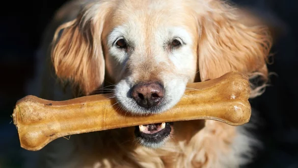 Fressnapf - &copy; Foto: Bernd Thissen/dpa