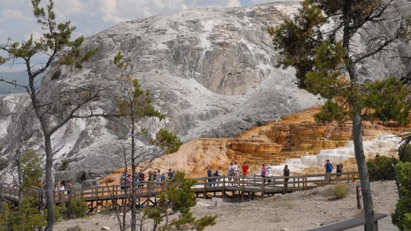 Mammoth Hot Springs - &copy; Foto: Christian R&ouml;wekamp