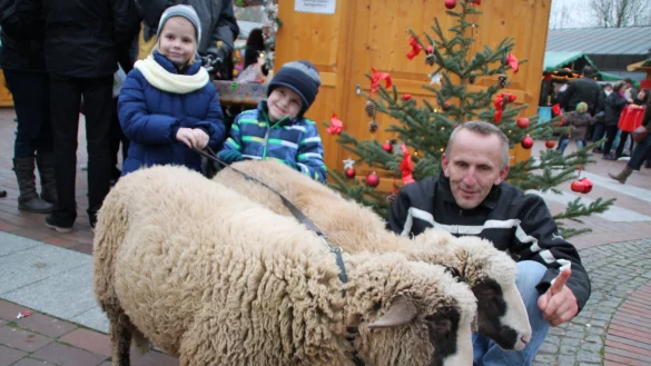 - &copy; Michelle Buller