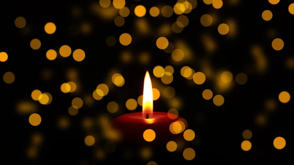 Die Gr&uuml;nen in Detmold nehmen Abschied. - &copy; Symbolbild: Pixabay