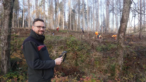 F&ouml;rster Alexander von Leffern freut sich, dass die Wiederaufforstung im Stadtwald in Horn-Bad Meinberg nun beginnen kann. In den n&auml;chsten Tagen werden 10.000 neue B&auml;ume gepflanzt. Eine externe Baumschule hilft dabei.&nbsp; - &copy; Michaela Wei&szlig;e