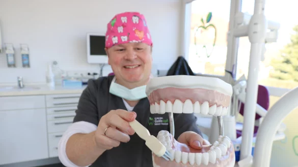 Dr. Guido Apfel zeigt am Gebiss, wie das richtige Zähneputzen geht. - © Alexandra Schaller