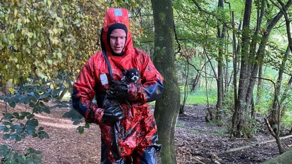 - &copy; Feuerwehr Detmold