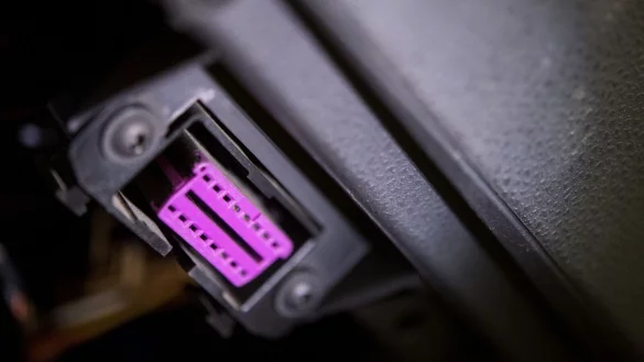 - &copy; Sebastian Gollnow/dpa/dpa-tmn