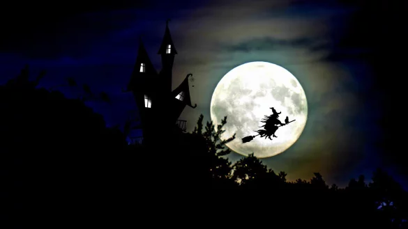 - © Symbolbild Pixabay