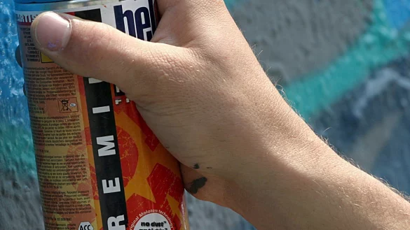 Schmierereien, Waffen- und Drogenbesitz werden den Aktivisten vorgeworfen. - &copy; dpa