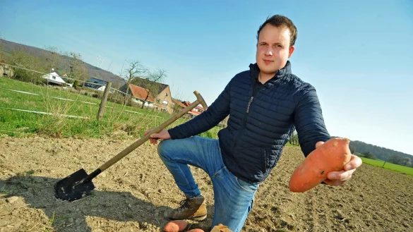 Der Anbau von S&uuml;&szlig;kartoffeln gilt als arbeitsreich und aufwendig. Dem 25-j&auml;hrigen Landwirt Christian Saaksmeier aus Brosen gelingt das eigener Aussage zufolge aber sehr gut.&nbsp; - &copy; Nicole Ellerbrake