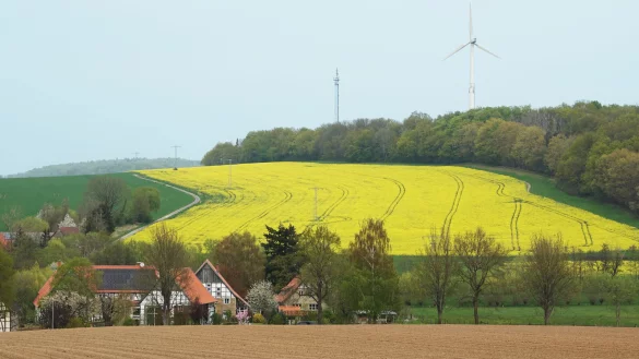 Blick von Cappel bis Kleinenparpe - in Lippe sind die Felder an vielen Stellen gelb. Der Raps bl&uuml;ht. - &copy; Axel B&uuml;rger