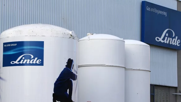 Linde - &copy; Foto: Stephan Jansen/dpa