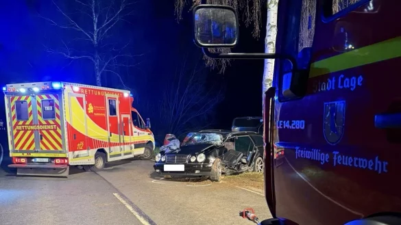 Beim Unfall wurde der Fahrer am Steuer eingeklemmt. - © Freiwillige Feuerwehr Lage