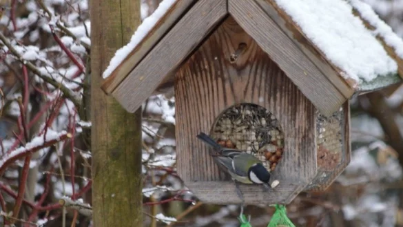 Freih&auml;ngendes, &uuml;berdachtes Futterhaus mit Absperrung gegen Zugang f&uuml;r Nager.&nbsp; - &copy; BUND Lemgo