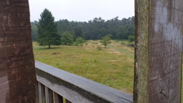Hier, am Aussichtsturm am Rande des Truppen&uuml;bungsplatzes Stapel, soll die Skulptur &bdquo;Ameisenl&ouml;we" aufgestellt werden.&nbsp; - &copy; Nadine Uphoff