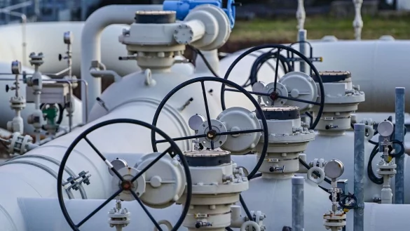 - &copy; Patrick Pleul/dpa-Zentralbild/dpa