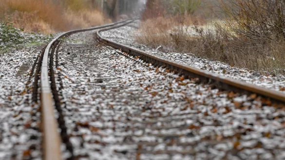 Alte Heidekraut-Strecke - &copy; Foto: Patrick Pleul/dpa-Zentralbild/dpa