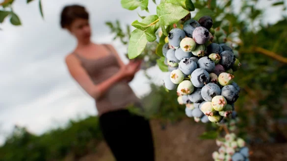 Verschwommener Hintergrund - &copy; Foto: Klaus-Dietmar Gabbert