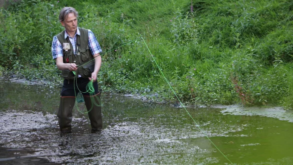 Auf der Jagd: Beim Fliegenfischen muss Gew&auml;sserwart Marko Siekmann durch das Wasser waten. Die selbst gebastelten K&ouml;der zucken auf der Oberfl&auml;che &ndash; ganz wie echte Tiere. - &copy; Yvonne Glandien