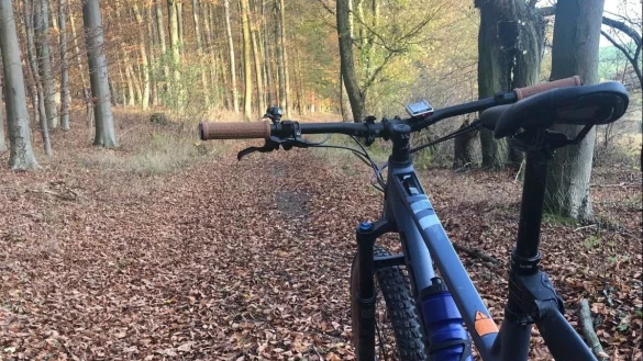 Erlebnis Wald: Im Herbst macht eine Mountainbike-Tour richtig Spa&szlig; &ndash; die Fahrer erleben Natur pur, bunte Bl&auml;tter und vielseitiges Lichtspiel. Das macht den Kopf frei. - &copy; Silke Buhrmester