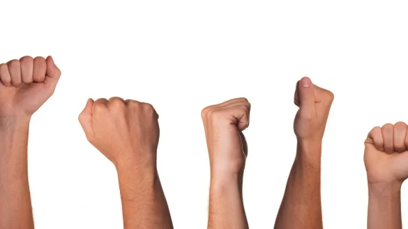 Der Klimaprotest an der Hochschule sorgt für neuen Ärger - © Symbolbild: Pixabay