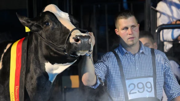 &laquo;Lady Gaga&raquo; - &copy; Foto: Markus Hibbeler/dpa