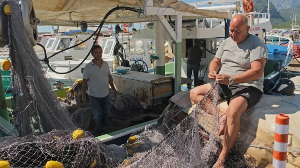 Kugelfisch-Plage in der T&uuml;rkei - &copy; Foto: Anne Pollmann/dpa