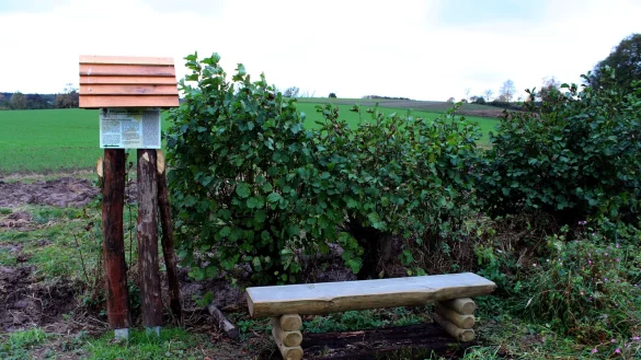 Unterwegs werden die Wanderer auch mit reichlich Informationen versorgt. - © Hans Böhm