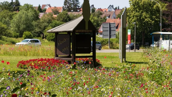 Blumenpracht: Rund um den Kreisel in Bad Meinberg und an vielen weiteren Ecken im Stadtgebiet von Horn-Bad Meinberg hat die Kommune inzwischen Bl&uuml;hwiesen anlegen lassen. Es handelt sich dabei um mehrj&auml;hrige Blumenmischungen.&nbsp; - &copy; Patrizia Lerch