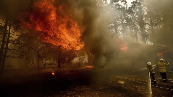 Extremer Einsatz - &copy; Foto: Noah Berger/AP/dpa
