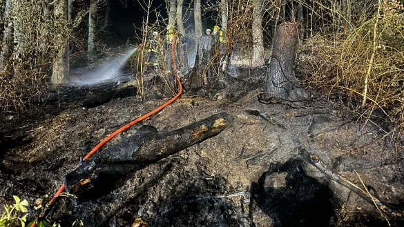 Rund 200 Quadratmeter Wald sind am vergangenen Wochenende in Tevenhausen abgebrannt. - &copy; Feuerwehr Kalletal