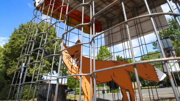 Fuchs hinter Gitter: Das Holztier hat w&auml;hrend des Strohsemmelfestes in Lemgo am Regenstorplatz gestanden. Es wurde bereits einmal demoliert &ndash; und wieder aufgebaut. - &copy; Vera Gerstendorf-Welle
