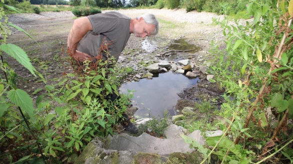 Ausgetrockneter Dorfteich in Schwelentrup: Dr. Rudolf Diekmeier, Vorsitzender des Vereins &bdquo;Tiere im Dorf", guckt in den staubtrockenen Zulauf. - &copy; Jens Rademacher