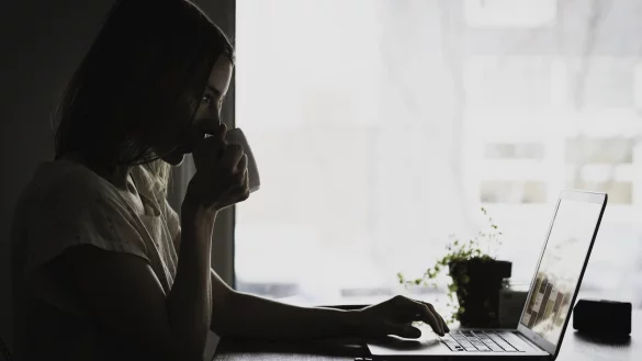 Viele politische Sitzungen gibt es wegen der Corona-Pandemie aktuell im Livestream - lohnt sich das Angucken? - &copy; Symbolfoto/Pixabay