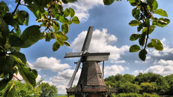 Wahrzeichen: Die Kappenwindm&uuml;hle im Freilichtmuseum Detmold. - &copy; Dirk-Ulrich Br&uuml;ggemann