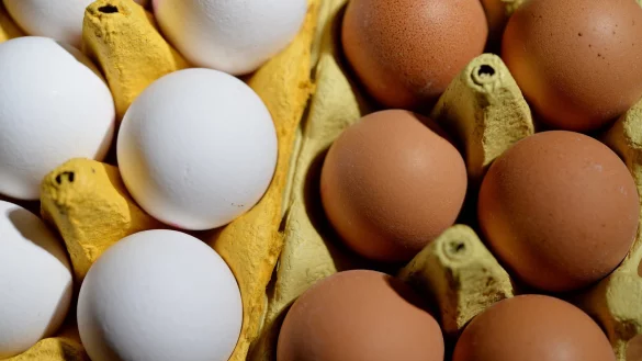 W&auml;hrend der Vorweihnachtszeit werden in den Superm&auml;rkten weniger deutsche Eier zu finden sein. - &copy; picture alliance / Frank May