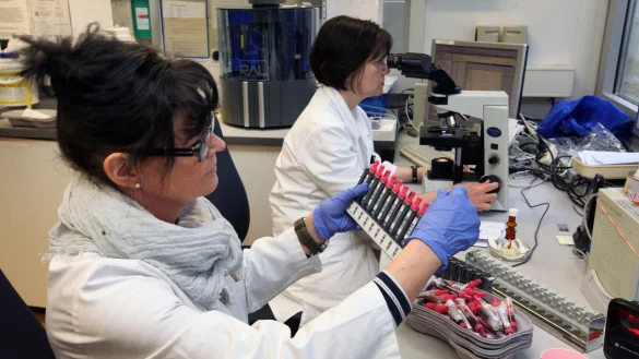 Im Labor: Susanne Ribbe, medizinisch-technische Angestellte der Klinik, sortiert Blutproben, die anschlie&szlig;end im vollautomatischen Blutbildanalysator ausgewertet werden. Dahinter am Mikroskop: MTA Marita Friebe. - &copy; Preuss