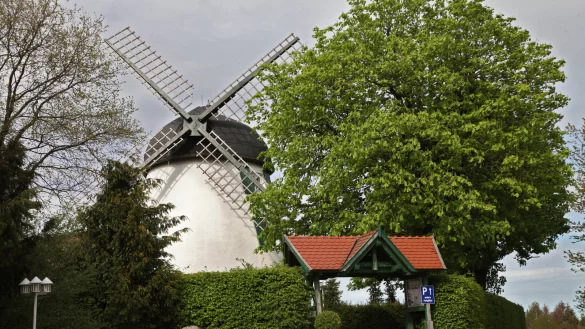 Die Windm&uuml;hle Fissenknick. - &copy; Bernhard Preu&szlig;