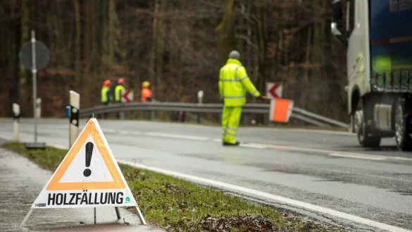 B1 - &copy; Torben Gocke +4916096641176