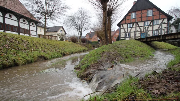 Es pl&auml;tschert: Zwischen B&uuml;rgerhaus am Markt (links) und Corves M&uuml;hle flie&szlig;en die Westerkalle und der M&uuml;hlarm zusammen. Im rechten Bereich wollen Planer das Ufer abflachen, damit sich das Wasser besser erreichen l&auml;sst. - &copy; Jens Rademacher