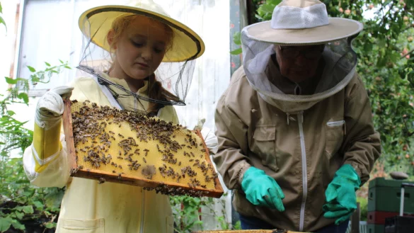 Charlotte k&uuml;mmert sich gemeinsam mit ihrer Oma Gisela D&uuml;nnermann, die schon seit vielen Jahren imkert, um die heimischen Bienenv&ouml;lker. - &copy; Sandra Castrup