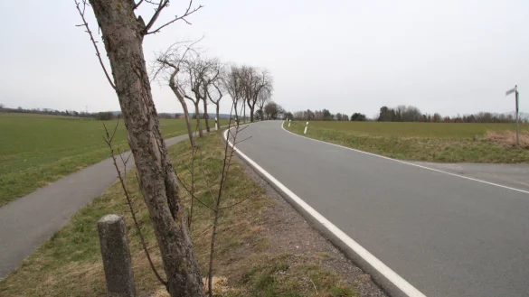 Die Obstb&auml;ume am Steinweg zwischen Kohlst&auml;dt und Oesterholz werden keine Gesellschaft bekommen. Daf&uuml;r werden anderswo welche gepflanzt. - &copy; Dieter Asbrock