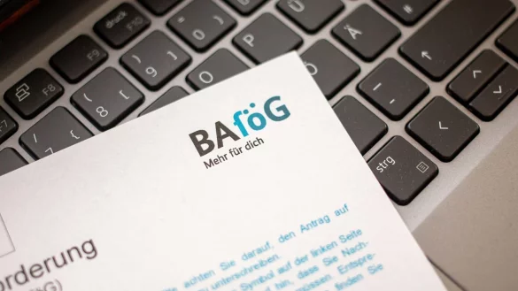 - &copy; Fernando Gutierrez-Juarez/dpa-Zentralbild/dpa-tmn