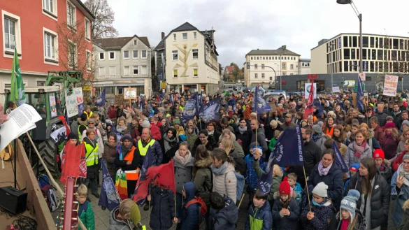 Nach Angaben der Polizei waren 600 Klimastreiker in Detmold. - &copy; Bernhard Preuss