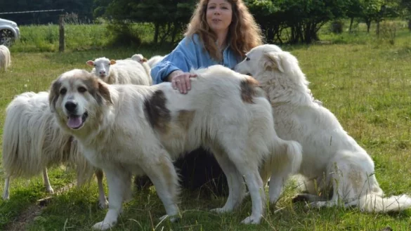 Ortrun Humpert schmust mit ihren beiden Hirtenhunden. - &copy; FOTO: PRIVAT