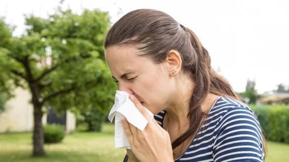 Niesattacke - &copy; Foto: Christin Klose/dpa-tmn