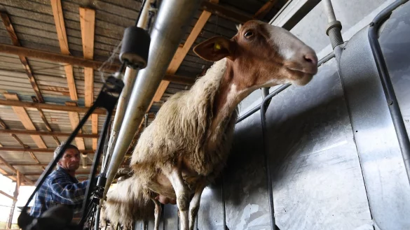 Landwirtschaft in Italien - &copy; Foto: Alberto Lingria/XinHua/dpa