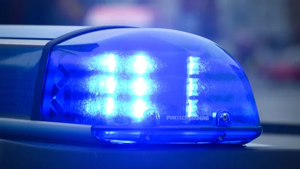 Ein auf der A2 herumirrendes Kalb ist von der Polizei erschossen worden.&nbsp; - &copy; dpa